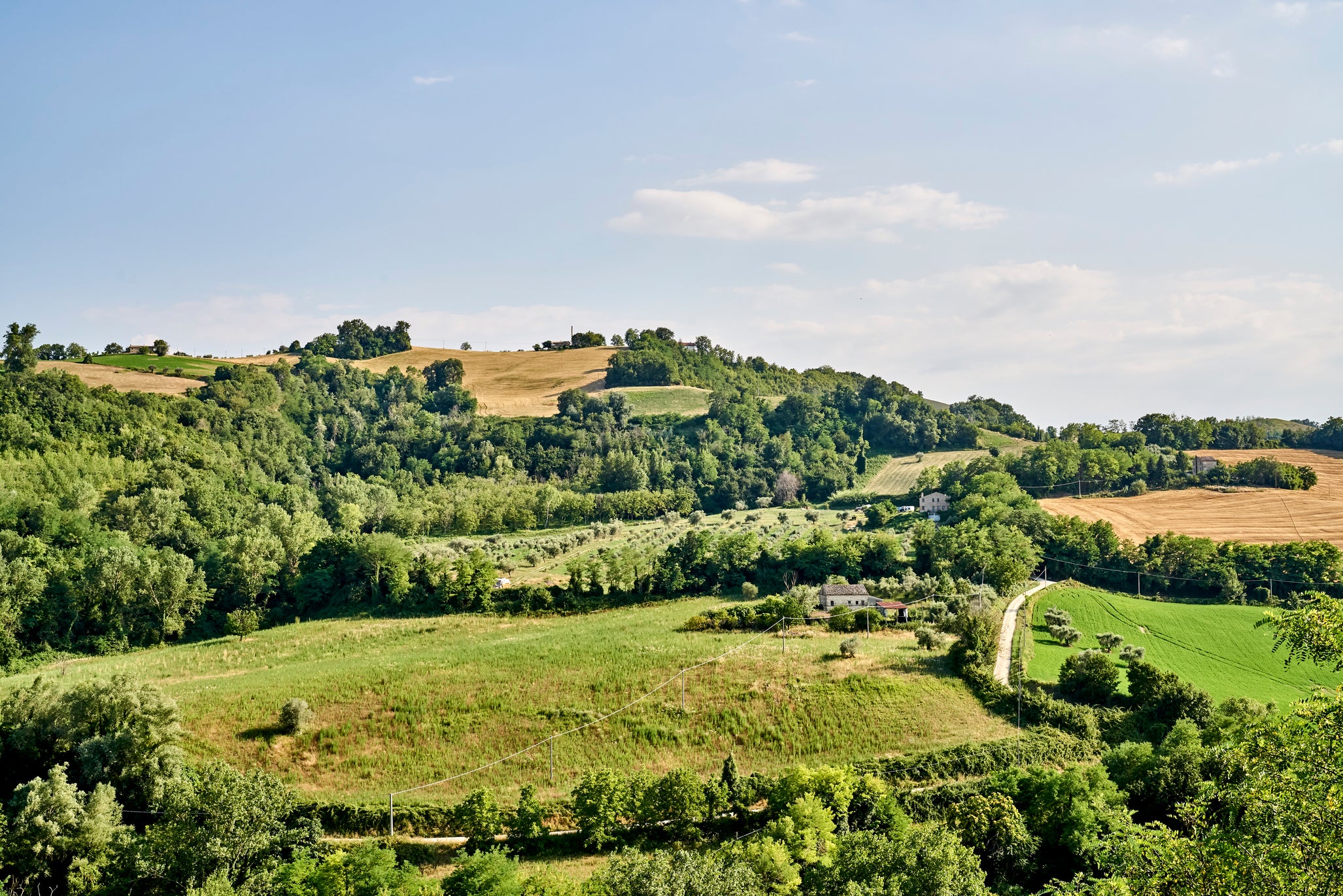 Welcome to il Buco Family